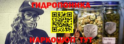 сатива Коммунар