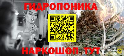 сатива Коммунар