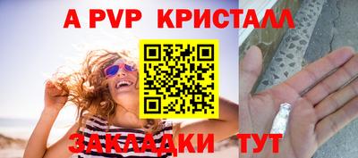 сатива Коммунар