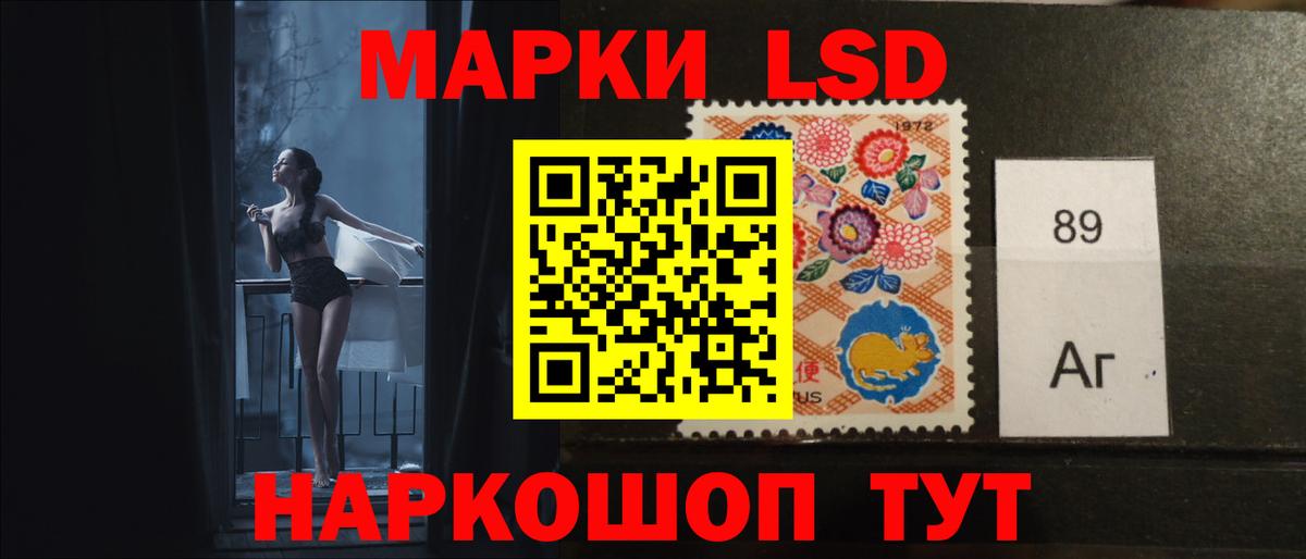 МЕФ Кохма