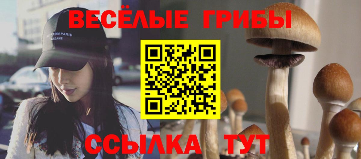 Псилоцибиновые грибы Psilocybine cubensis  Псилоцибиновые грибы прущие грибы  Вход с VPN  Кохма 
