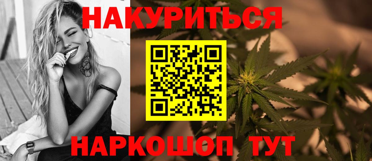 Марихуана сатива Кохма